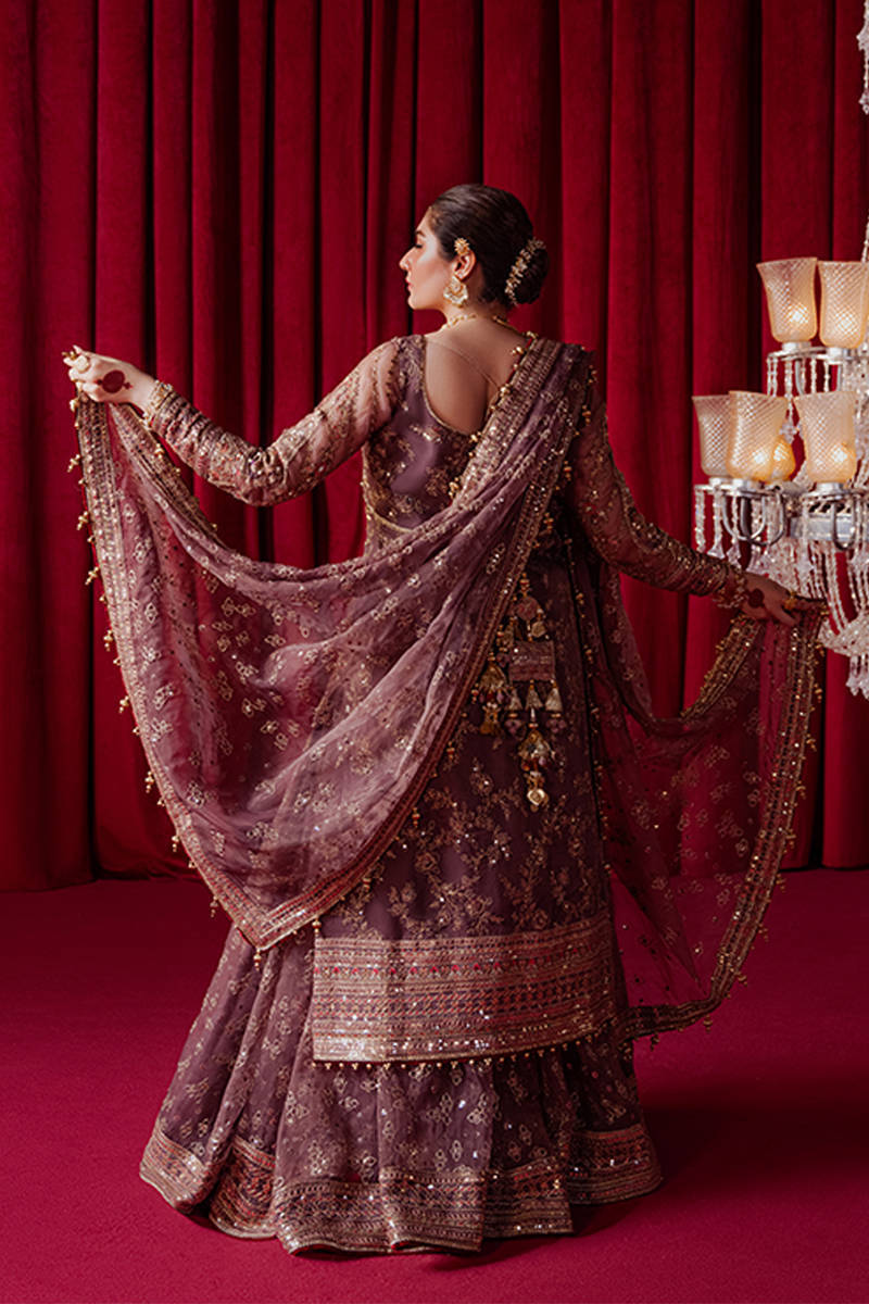MNR | Zarlish Festive Formals | Dil Nasheen XS Lilac Gray Organza