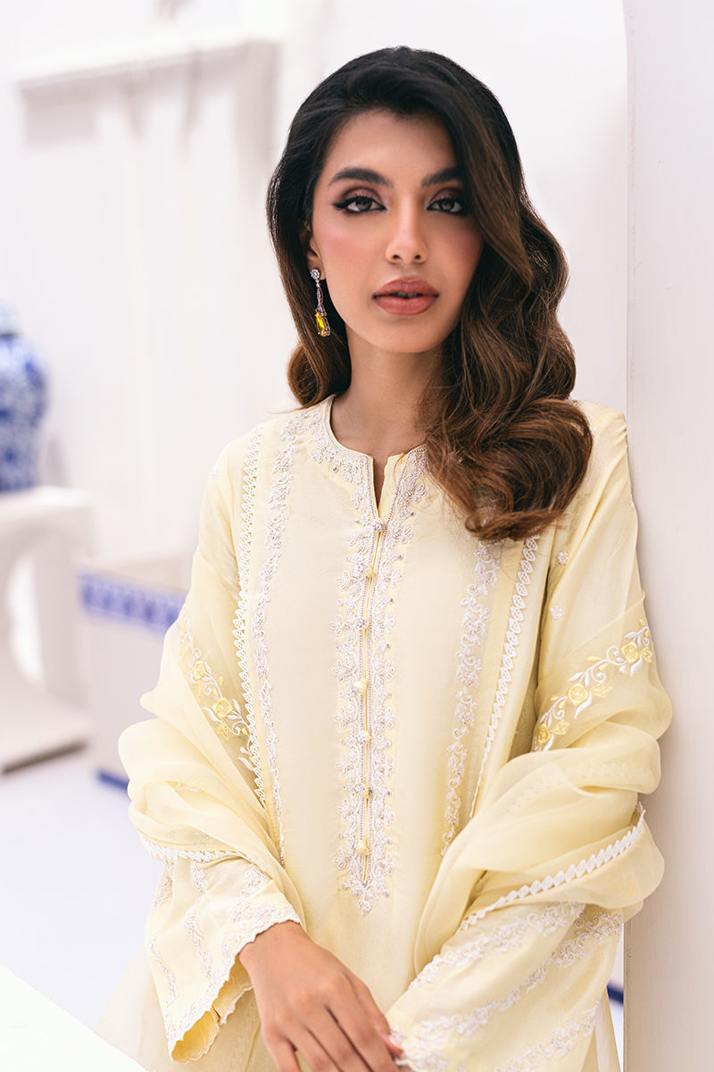 Ansab Jahangir | Luxe Pret Signature | BANEEN - Pakistani Designer Dress - by Ansab Jahangir | Type: Luxury - 100% Original at Saira Sultan