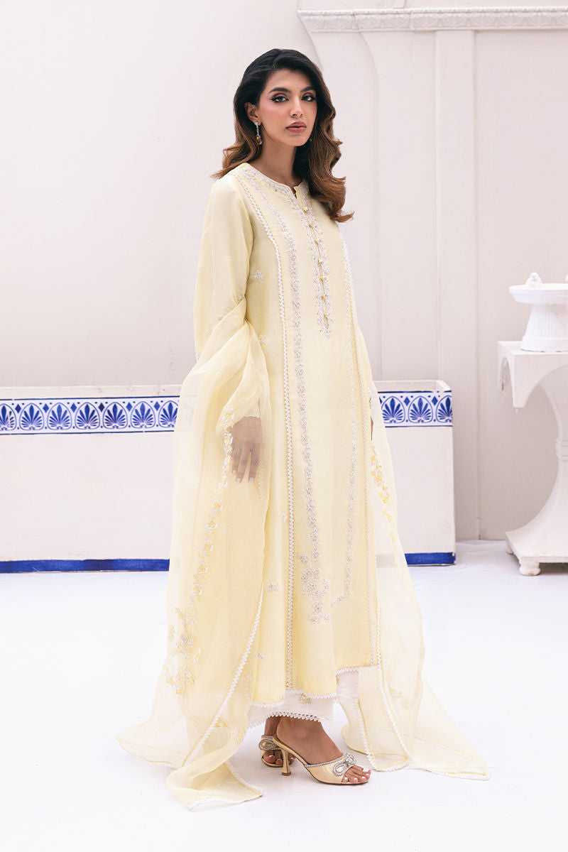 Ansab Jahangir | Luxe Pret Signature | BANEEN - Pakistani Designer Dress - by Ansab Jahangir | Type: Luxury - 100% Original at Saira Sultan