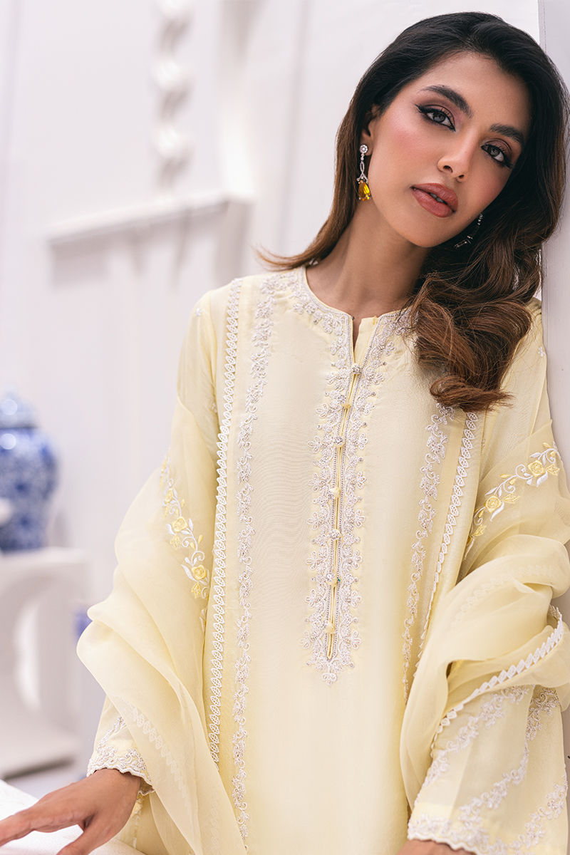Ansab Jahangir | Luxe Pret Signature | BANEEN - Pakistani Designer Dress - by Ansab Jahangir | Type: Luxury - 100% Original at Saira Sultan