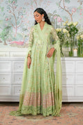 Annus Abrar | Sehr Eid Luxe | Nadi Mint XS Mint Silk Net