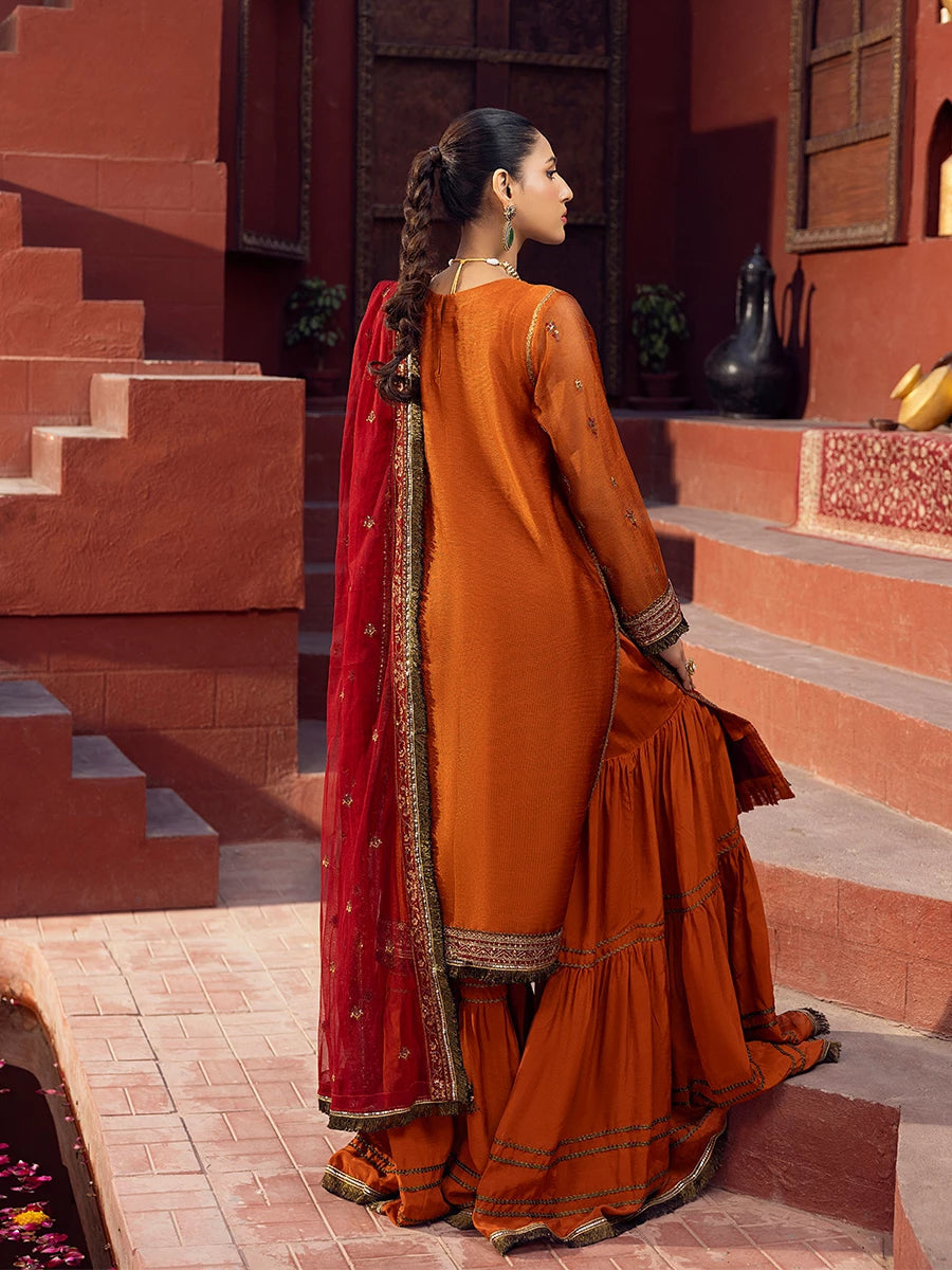 Salitex | Signature Festive Chiffon | SUNW6JI019UT XS Rust Khaddi Net