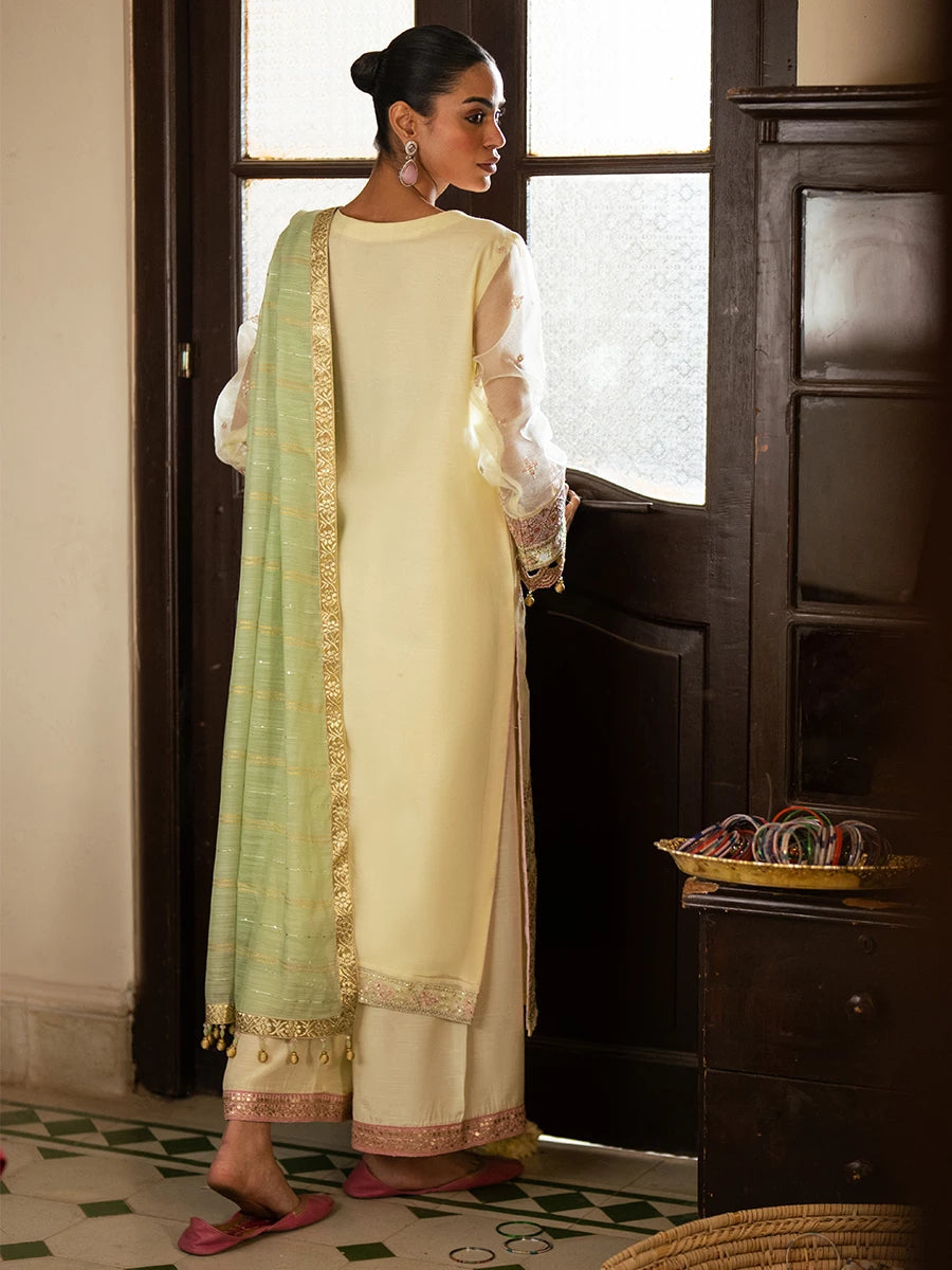 Salitex | Signature Festive Chiffon | SUNW6JI045UT XS Pale Yellow Khaddi Net