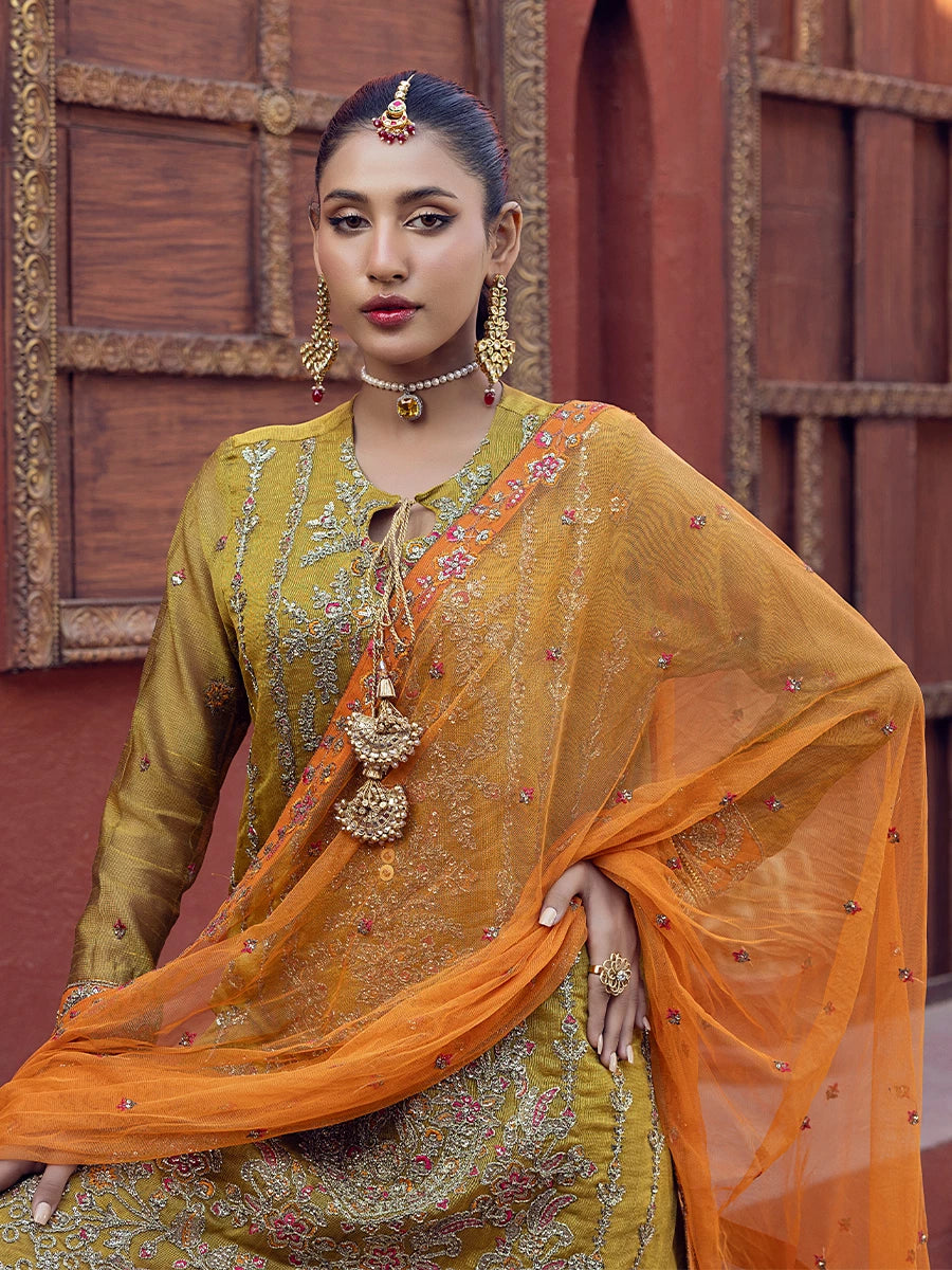 Salitex | Signature Festive Chiffon | SUNW6JI023UT M Mustard Khaddi Net