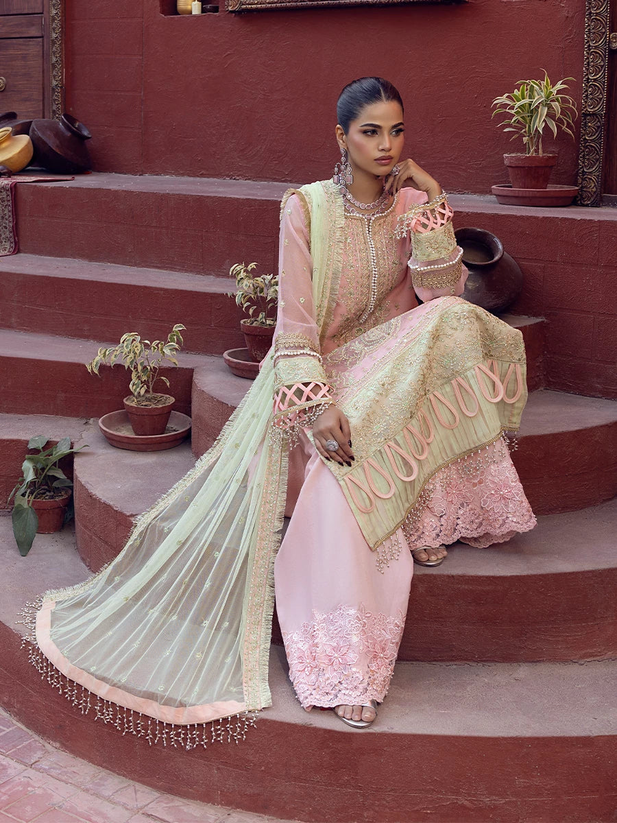 Salitex | Signature Festive Chiffon | SUNW6JI016UT Custom Size Peach Pink Khaddi Net