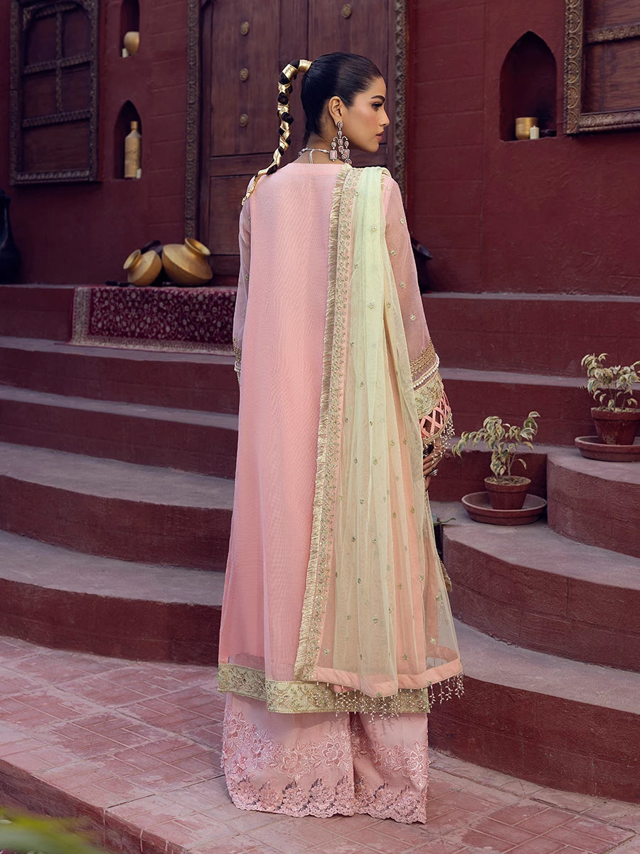 Salitex | Signature Festive Chiffon | SUNW6JI016UT XS Peach Pink Khaddi Net