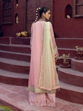 Salitex | Signature Festive Chiffon | SUNW6JI016UT S Peach Pink Khaddi Net