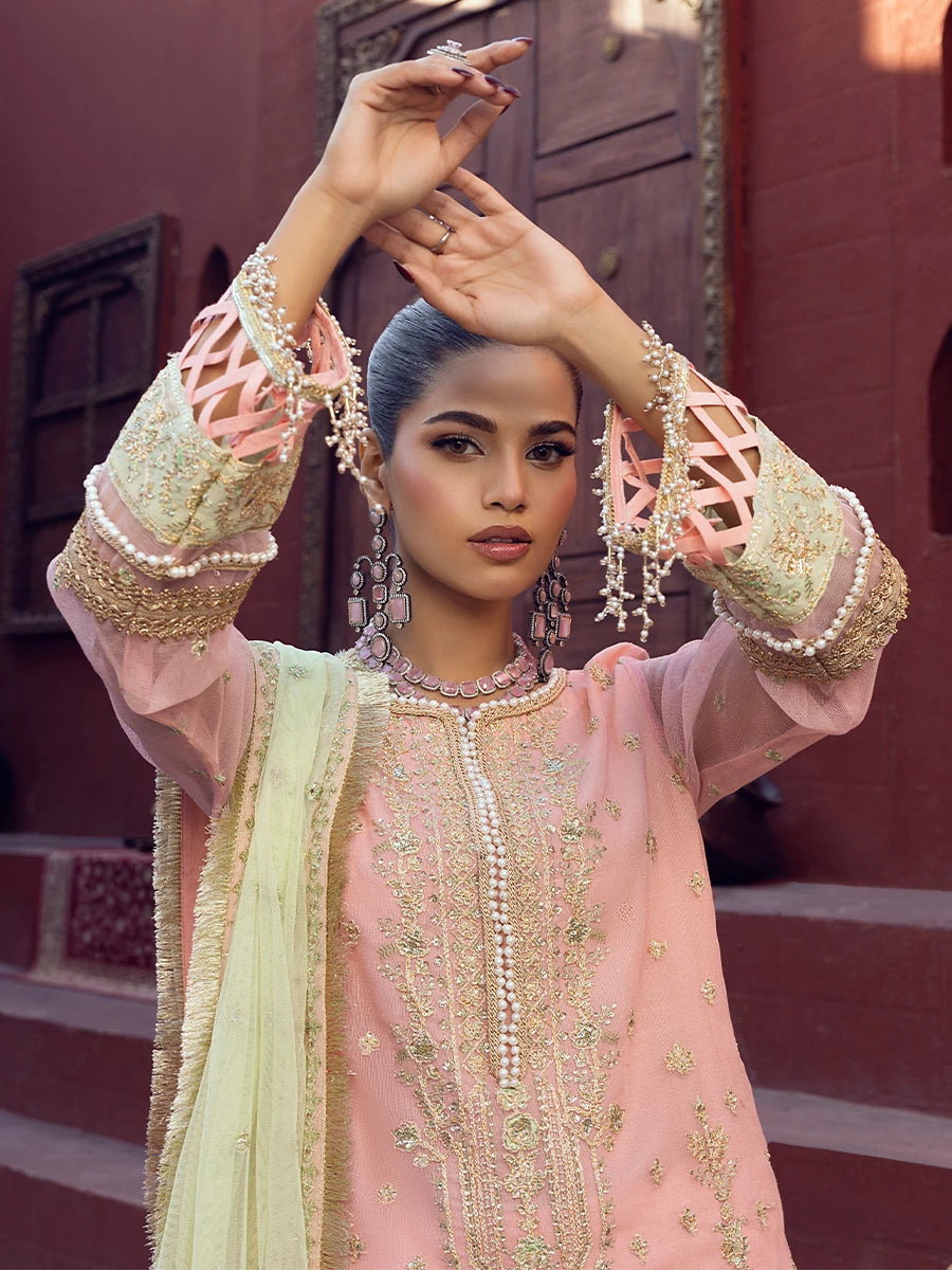 Salitex | Signature Festive Chiffon | SUNW6JI016UT L Peach Pink Khaddi Net
