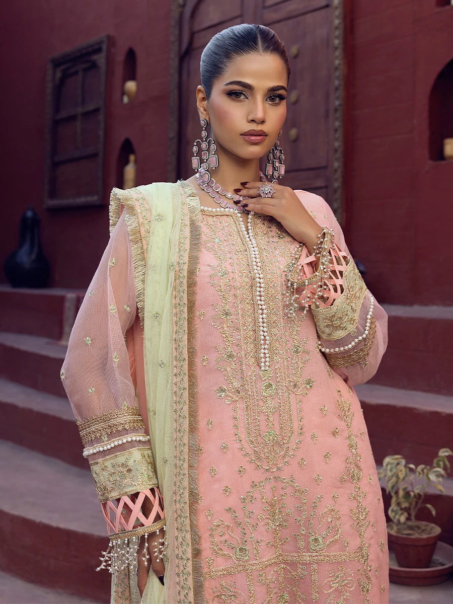 Salitex | Signature Festive Chiffon | SUNW6JI016UT M Peach Pink Khaddi Net
