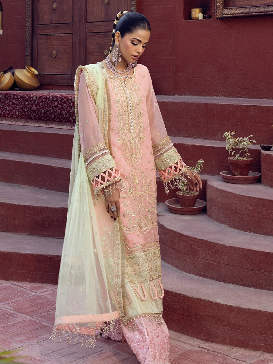 Salitex | Signature Festive Chiffon | SUNW6JI016UT XL Peach Pink Khaddi Net