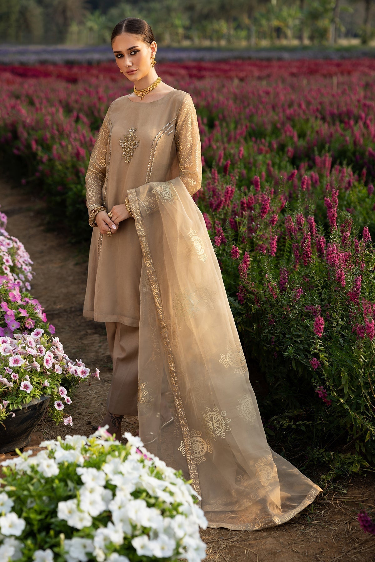 Charizma | Festive Pret | CMA-5-062 S Coffee Organza
