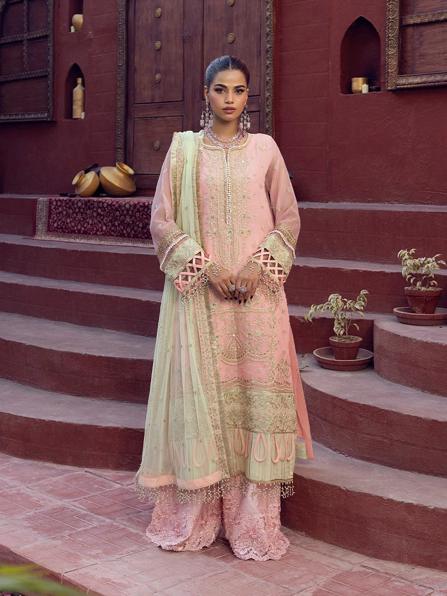 Salitex | Signature Festive Chiffon | SUNW6JI016UT XS Peach Pink Khaddi Net
