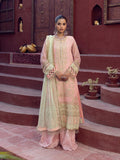 Salitex | Signature Festive Chiffon | SUNW6JI016UT XS Peach Pink Khaddi Net