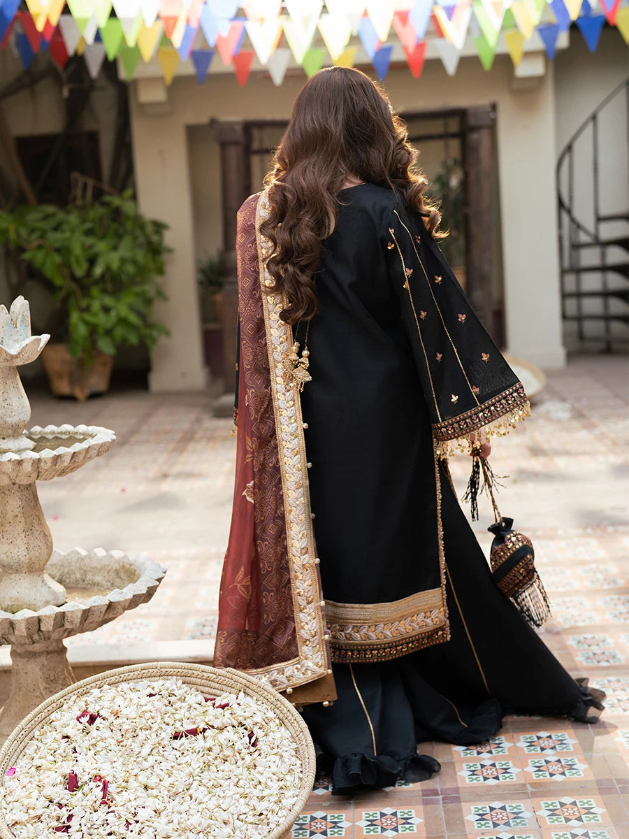 Salitex | Signature Festive Chiffon | SUNW6NO025UT XS Black Khaddi Net