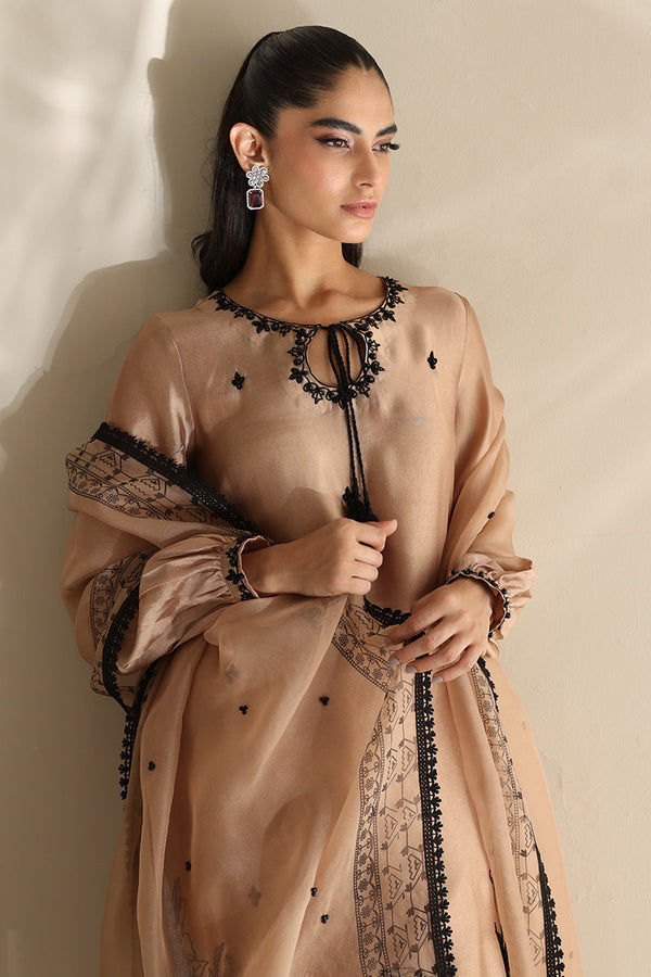 Sana Abbas | Mor Luxe | LATTE - Pakistani Designer Dress - by Sana Abbas - Type : Ladies Clothes - 100% Original at Saira Sultan