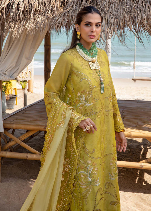 Saira Shakira | Luxury Lawn 25 | SAMARA-A XL Olive Green Lawn