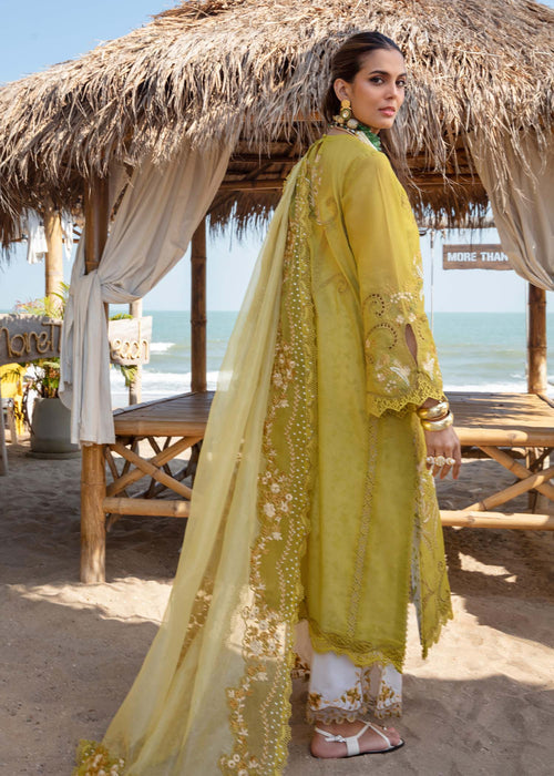 Saira Shakira | Luxury Lawn 25 | SAMARA-A XS Olive Green Lawn