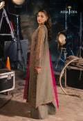 Asim Jofa | Festive Collection 25 | AJLF-06 S Mouse Gray Chiffon