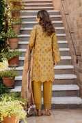 Afrozeh | Damask The Holiday Edit 25 | Lorien B S Mustard Lawn