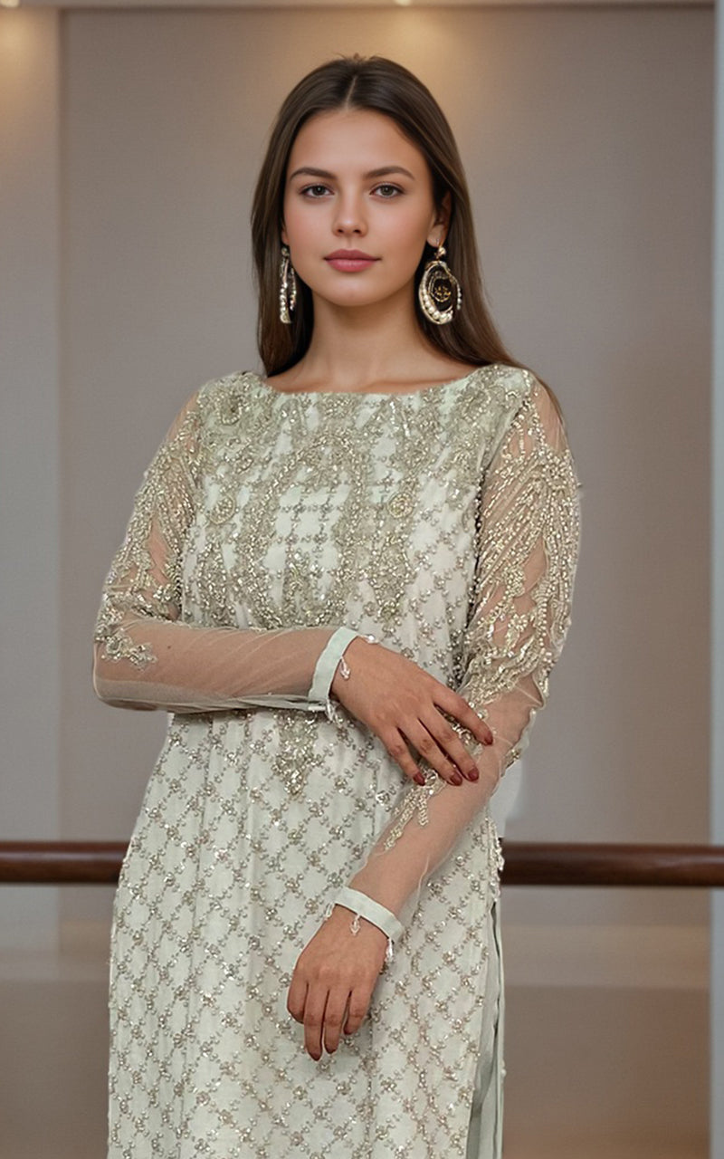Threads and Motifs | Formal Dresses 25 | Net Embroidered Shirt With Trouser - Pakistani Designer Dress - by Threads and Motifs - Type : Ladies Clothes - 100% Original at Saira Sultan