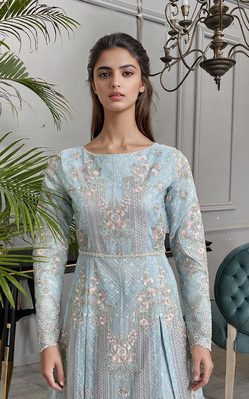 Threads and Motifs | Formal Dresses 25 | Net Embroidered Maxi - Pakistani Designer Dress - by Threads and Motifs - Type : Ladies Clothes - 100% Original at Saira Sultan