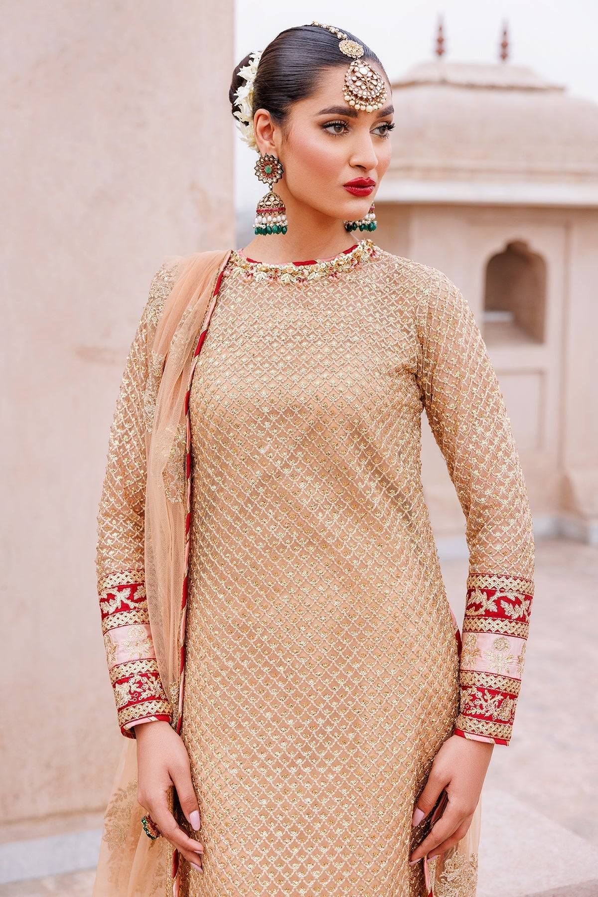 Mina Kashif | Shahbano Luxury Pret 24 | Haya - Pakistani Designer Dress - by Mina Kashif | Type: Luxury - 100% Original at Saira Sultan