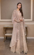 Threads and Motifs | Formal Dresses 25 | Net Embroidered Maxi - Pakistani Designer Dress - by Threads and Motifs - Type : Ladies Clothes - 100% Original at Saira Sultan