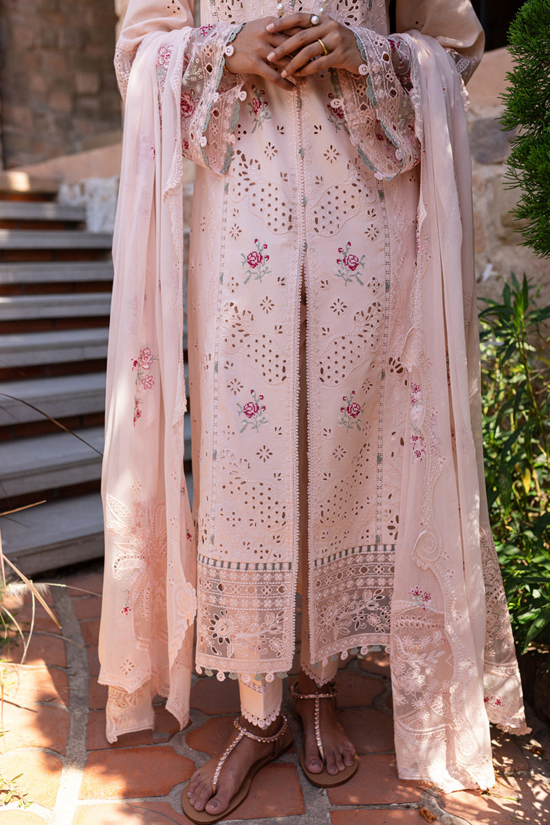 Qalamkar | Q Line Lawn 25 | QM-14 Neha M Pink Lawn