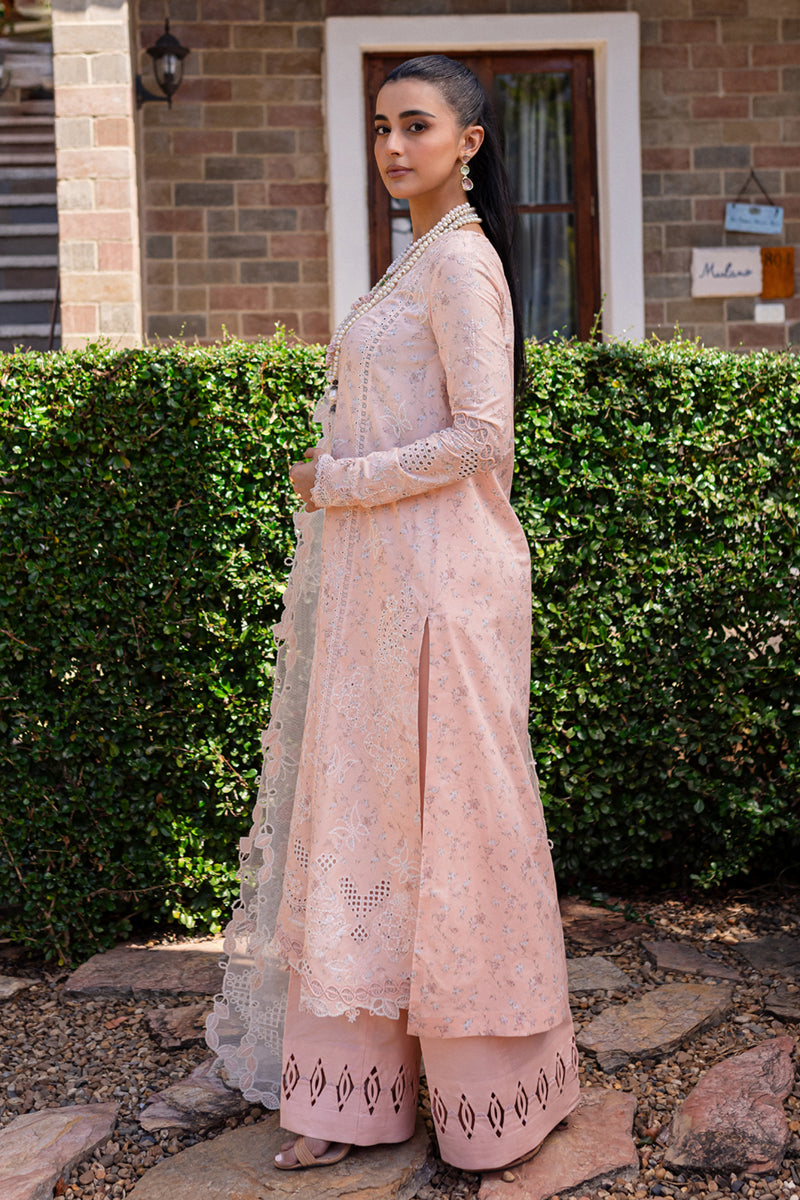 Qalamkar | Q Line Lawn 25 | QM-12 Miso XS Pink Lawn