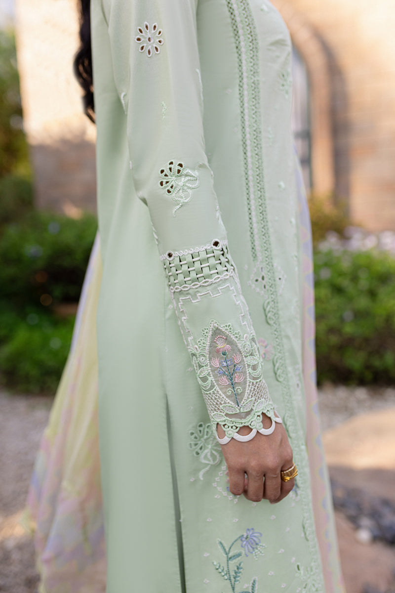 Qalamkar | Q Line Lawn 25 | QM-08 Maia Custom Size Pastel Mint Lawn