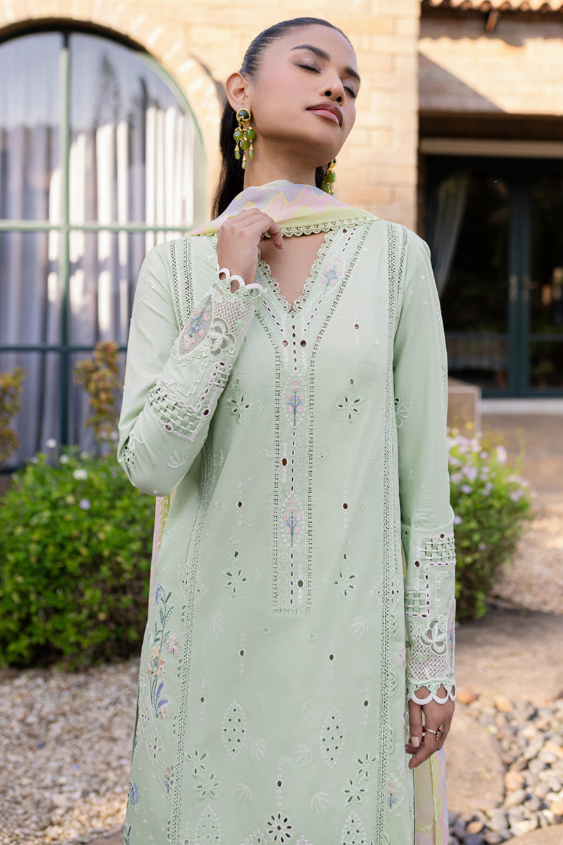 Qalamkar | Q Line Lawn 25 | QM-08 Maia XL Pastel Mint Lawn