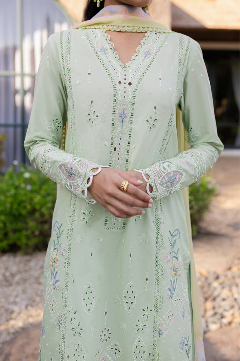 Qalamkar | Q Line Lawn 25 | QM-08 Maia M Pastel Mint Lawn