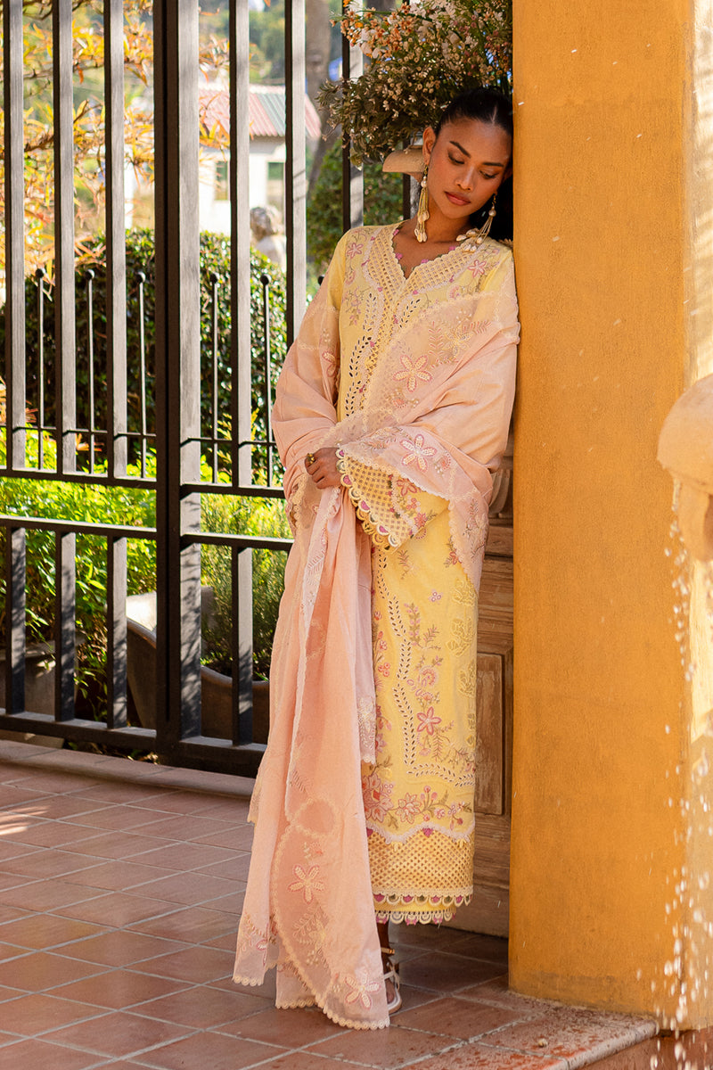 Qalamkar | Q Line Lawn 25 | QM-11 Ina XS Dust Yellow Lawn