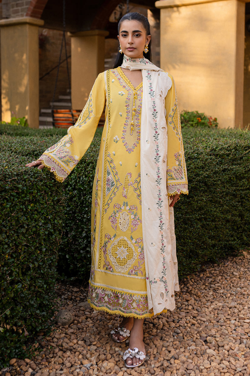 Qalamkar | Q Line Lawn 25 | QM-10 Olena XS Yellow Lawn