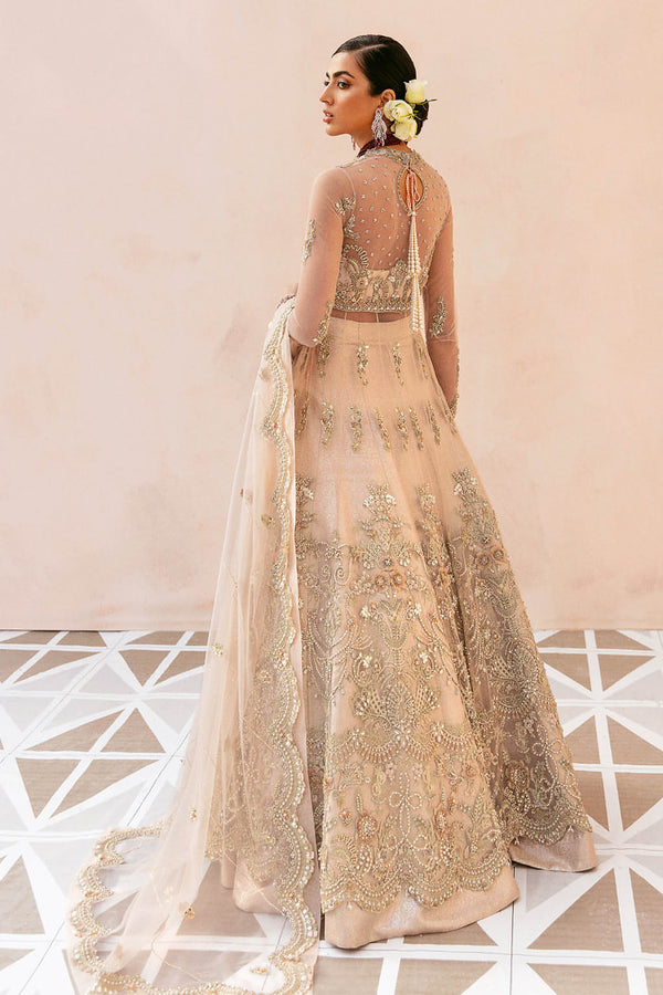 Soraya | Amelia Luxury Formals | Elara - Pakistani Designer Dress - by Soraya - Type : Ladies Clothes - 100% Original at Saira Sultan
