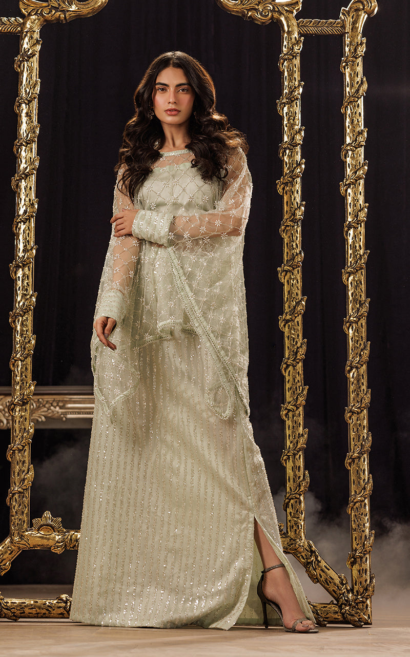 Threads and Motifs | Formal Dresses 25 | Net Embroidered Cape With Tube And Skirt - Pakistani Designer Dress - by Threads and Motifs - Type : Ladies Clothes - 100% Original at Saira Sultan