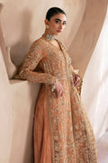 Emaan Adeel | Clay Couture | CAMELIA L Peach Organza