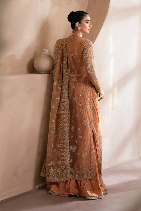 Emaan Adeel | Clay Couture | CAMELIA XS Peach Organza