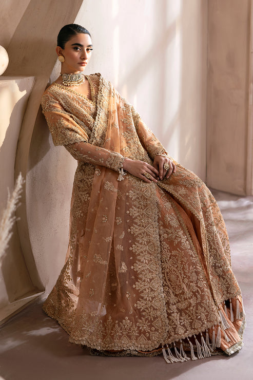 Emaan Adeel | Clay Couture | CAMELIA XL Peach Organza