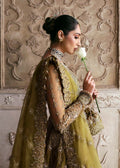 Akbar Aslam | Rajkumari Bridals | Zarnigar XL Mehndi Net