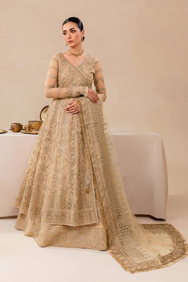 Farasha | Lumiere Formals | DREAMT FLAIR - Pakistani Designer Dress - by Farasha | Type: Luxury - 100% Original at Saira Sultan