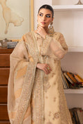 Naqshi | Pareezah Formals | Marve M Skin Organza
