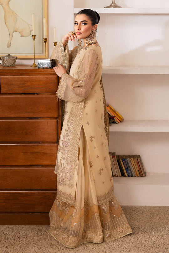 Naqshi | Pareezah Formals | Marve XL Skin Organza