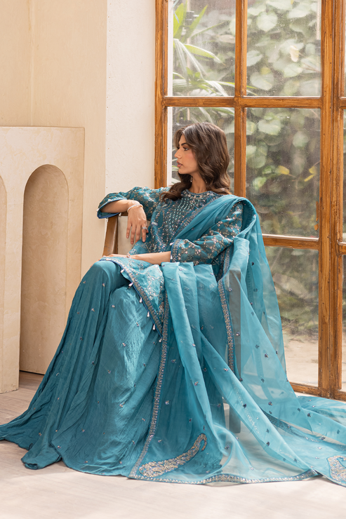 Emaan Adeel | Noore Festive Formals | MEHRIN Custom Size Zinc Organza