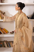 Naqshi | Pareezah Formals | Marve L Skin Organza