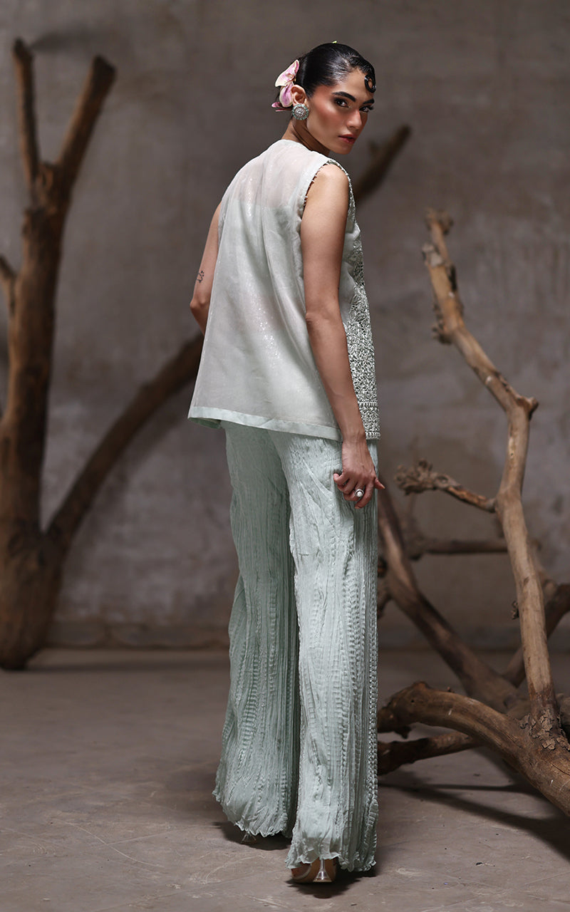 Threads and Motifs | Formal Dresses 25 | Organza Embroidered Jacket With Crushed Trouser - Pakistani Designer Dress - by Threads and Motifs - Type : Ladies Clothes - 100% Original at Saira Sultan