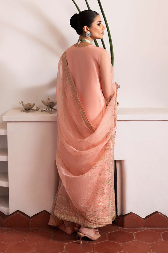 Naqshi | Pareezah Formals | Muzna XS Peach Pink Organza