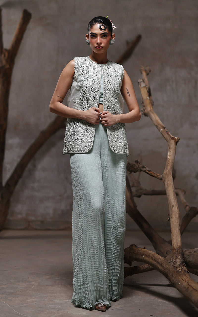 Threads and Motifs | Formal Dresses 25 | Organza Embroidered Jacket With Crushed Trouser - Pakistani Designer Dress - by Threads and Motifs - Type : Ladies Clothes - 100% Original at Saira Sultan