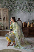 Sobia Nazir | Vital Lawn 25 | 6A - Pakistani Designer Dress - by Sobia Nazir | Type: Ladies Clothes - 100% Original at Saira Sultan