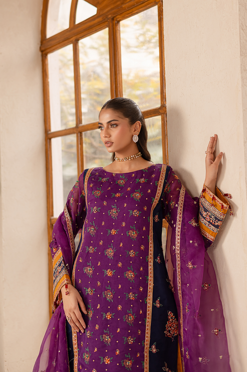 Emaan Adeel | Noore Festive Formals | NAYERA L Magenta Organza